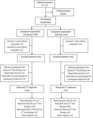 Randomized phase II study of TX followed by XELOX versus the reverse sequence for chemo-naive patients with metastatic gastric cancer